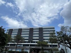 Vertex (D14), Factory #454749291